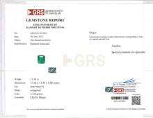 Load image into Gallery viewer, Natural Zambia Minor Emerald 25.55 cts Octagon pair by SR-Takat