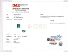 Load image into Gallery viewer, Natural Zambia Minor Emerald 23.47 cts Octagon pair by SR-Takat