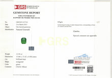 Load image into Gallery viewer, Natural Zambia Minor Emerald 25.78 cts Octagon pair by SR-Takat