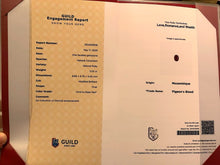 Load image into Gallery viewer, Magnificient Pigeon Blood No Heat Mozambique 3 cts each total of 28.34 cts Ruby necklace & crown combination by SR-Takat