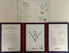 Load image into Gallery viewer, Emerald luxury Necklace with platinum Award