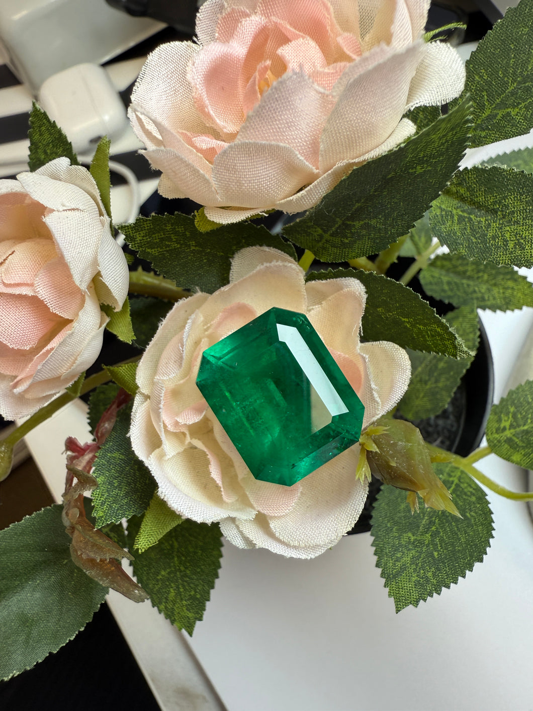 Natural Columbia Muzo Emerald 29.08 cts Octagon by SR-Takat