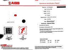 Load image into Gallery viewer, Magnificient Pigeon Blood No Heat Mozambique 3 cts each total of 27.50 cts Ruby necklace &amp; crown combination by SR-Takat
