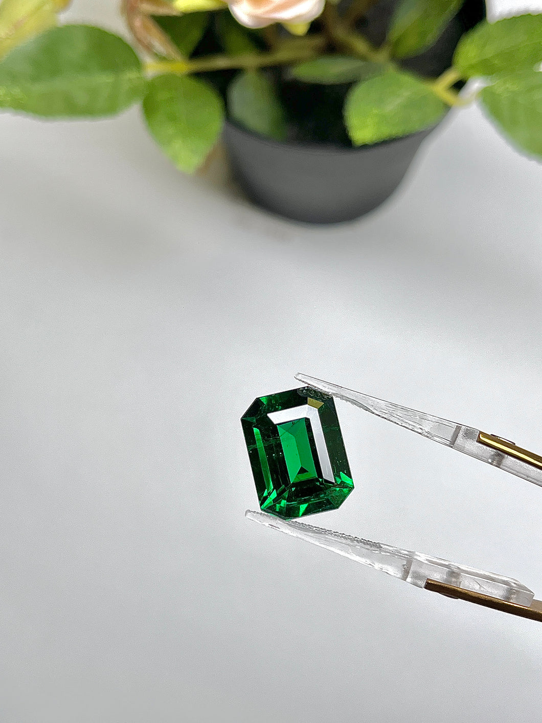 Natural Zambia Min Emerald 12.74 cts Oct by SR-Takat
