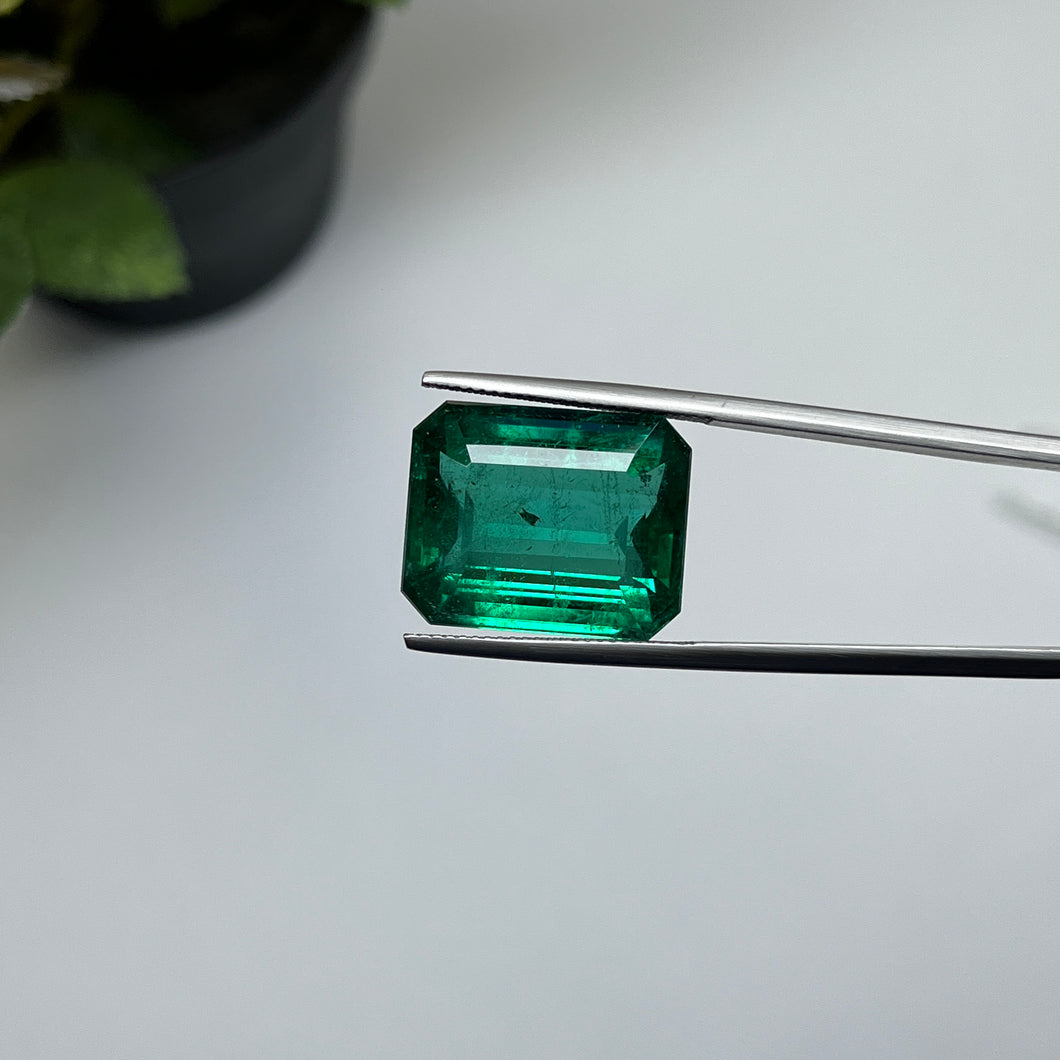 Natural Zambia Minor Emerald 21.83 cts Oct by SR-Takat