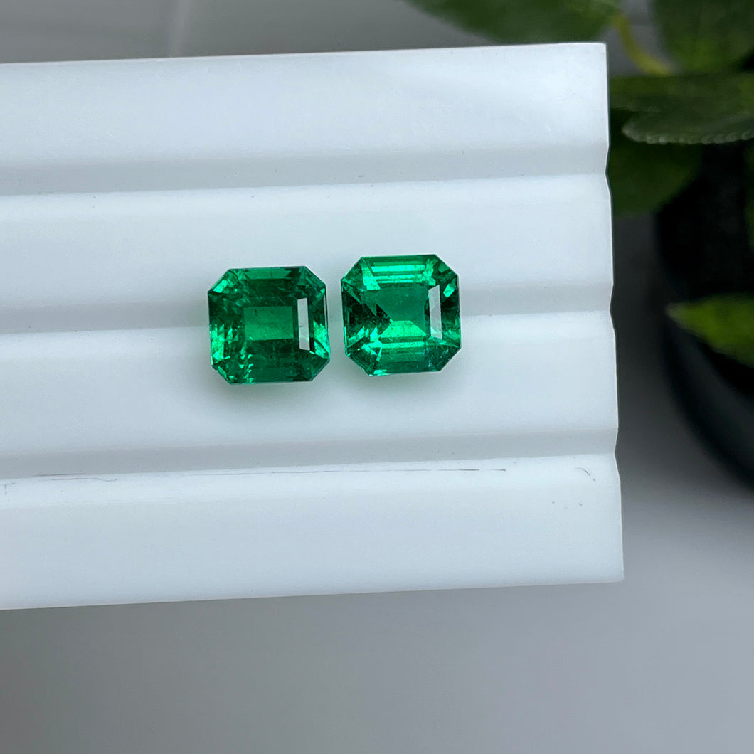 Natural Zambia Insignificant Emerald 10.13 cts Octagon pair by SR-Takat