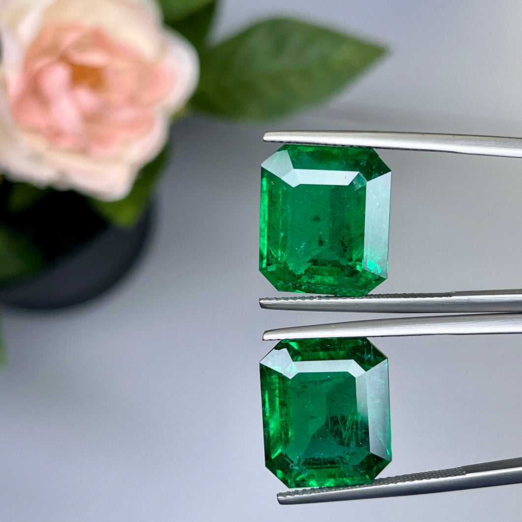 Natural Zambia Minor Emerald 25.55 cts Octagon pair by SR-Takat