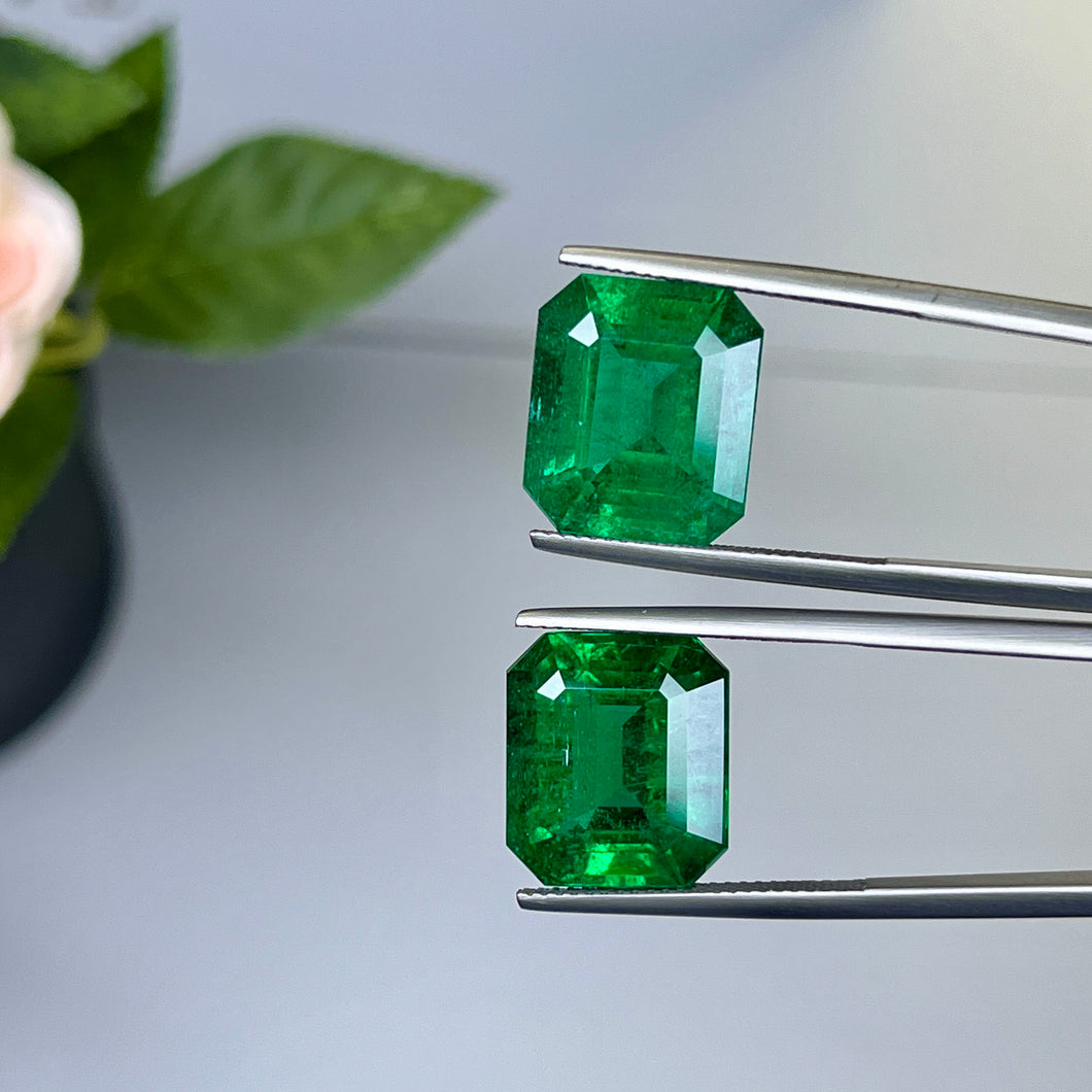 Natural Zambia Insignificant Emerald 22.52 cts Octagon pair by SR-Takat