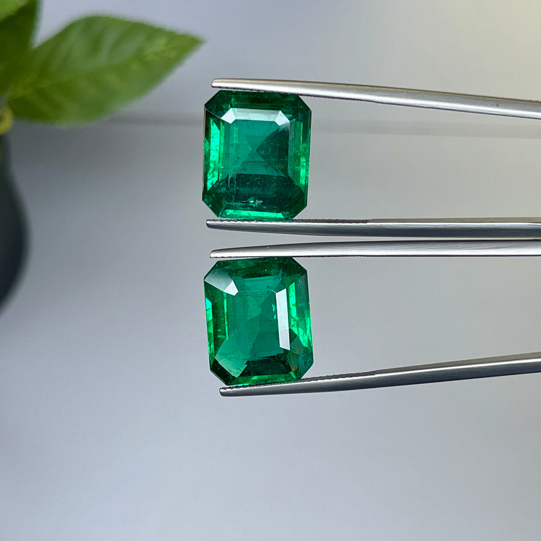 Natural Zambia Minor Emerald 23.47 cts Octagon pair by SR-Takat