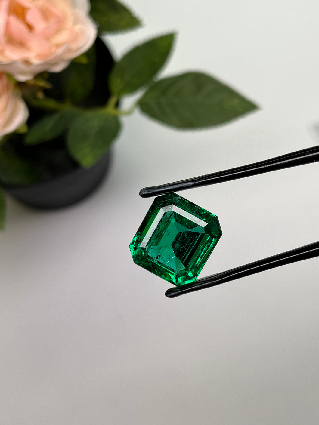 Natural Zambia Emerald 14.22 cts Octagon by SR-Takat