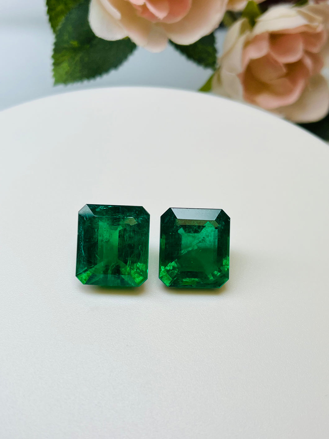 Natural Zambia Emerald 29.40 cts Octagon pair by SR-Takat