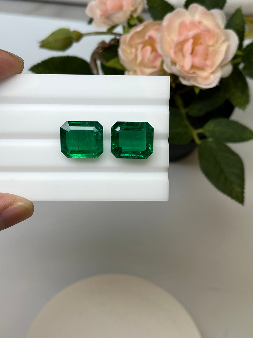Natural Zambia Emerald 21.98 cts Octagon pair by SR-Takat