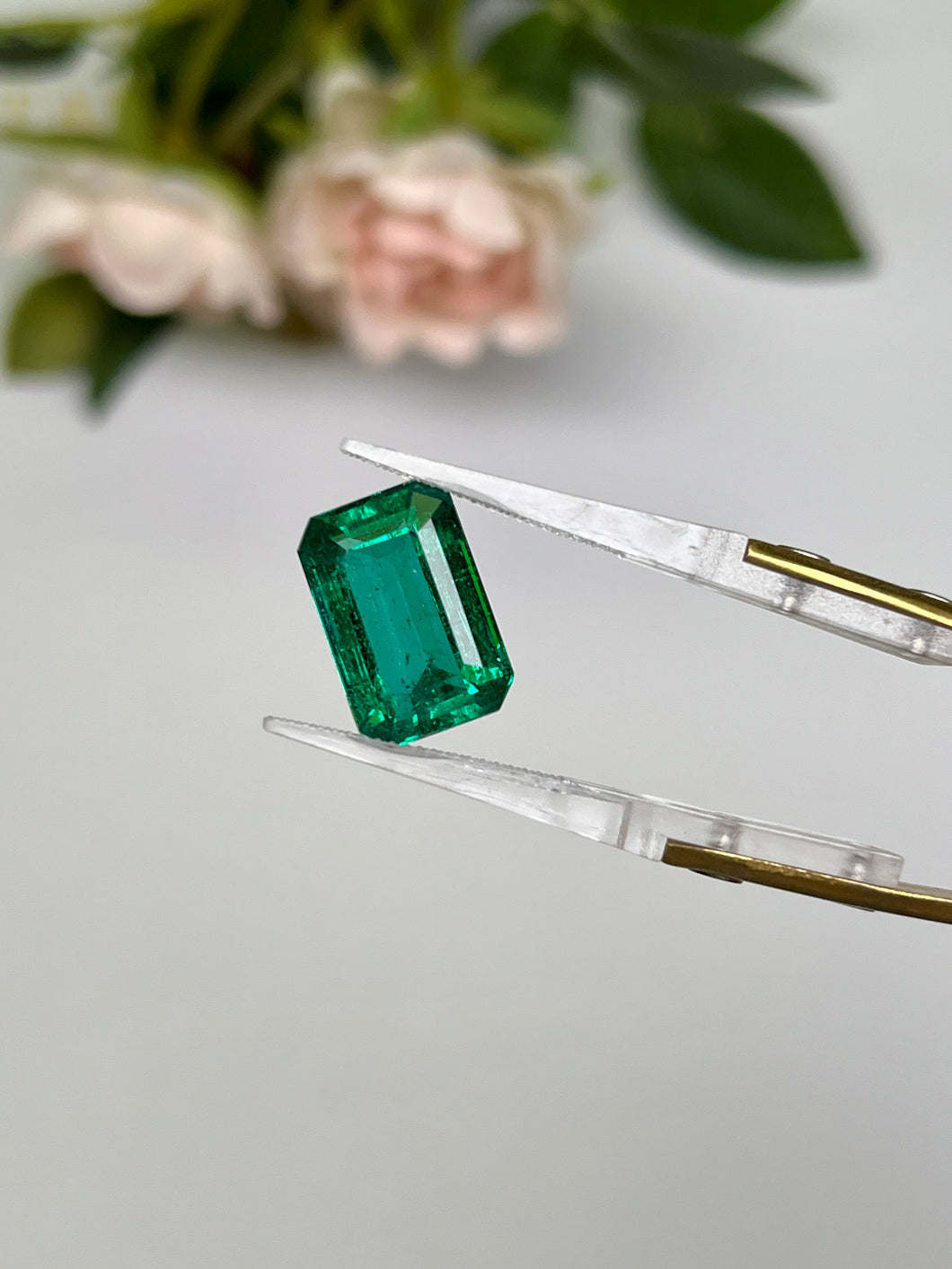Natural Zambia Emerald 7.20 cts Octagon by SR-Takat