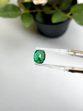 Load and play video in Gallery viewer, Natural Zambia Insig Emerald 3.02 cts Cus by SR-Takat
