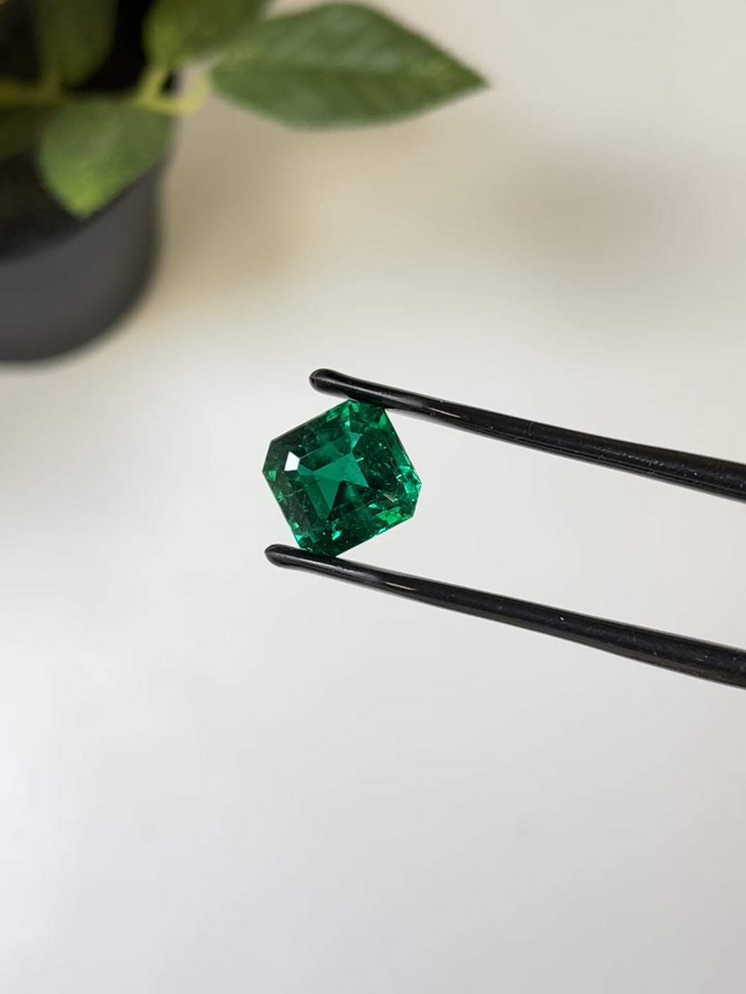 Natural Zambia No Oil Emerald 7.54 cts Octagon by SR-Takat